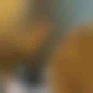 Svetla u obliku grana | BRANCHLUMOS