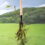 ROOTNIK