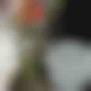 Držači za cveće za fantastične aranžmane (3kom) | VASEKA