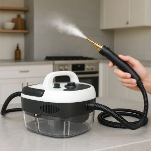 Paročistač pod visokim pritiskom | STEAMAX