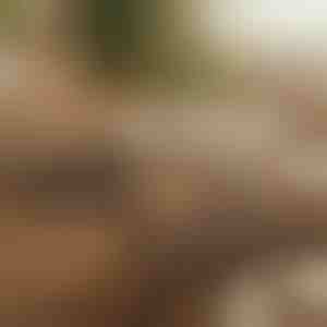 Magnetni samolepljivi organizator kablova (12 komada) | CABLIP