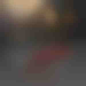 Alat za uklanjanje automobilskih terminala | SEPACON